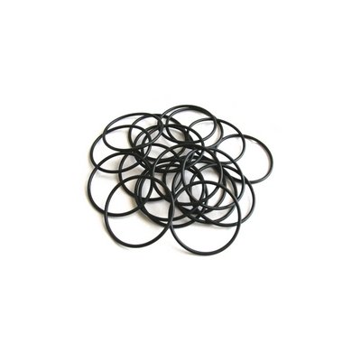 ATLAS 353-0981 O-RING PER DOSATORE PROPORZIONALE IN POLVERE