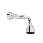 DH - BRACCIO DOCCIA PESANTE CON SOFFIONE VESUVIO