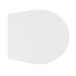 DH - SEDILE WC IN TERMOINDURENTE PER ESEDRA KEY FORMA 2