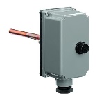 CALEF - TERMOSTATO AD IMMERSIONE 100Â°