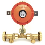 Gheginonline - MINI-CENTRALINA CON REGOLATORE SENZA FLESSIBILI  4 KG