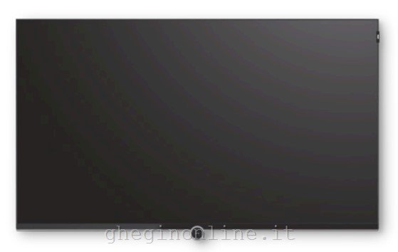 LOEWE bild 1.49 124,5 cm (49