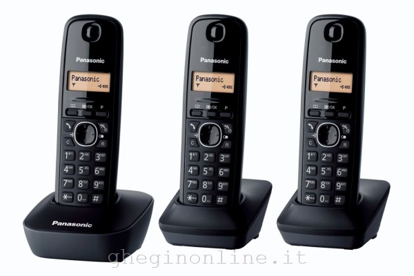 KX-TG1613JTH Panasonic KX-TG1613, Telefono DECT, 50 voci, Identificatore di chiamata, Nero