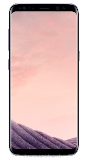 Telecom Italia Samsung Galaxy S8 14,7 cm (5.8