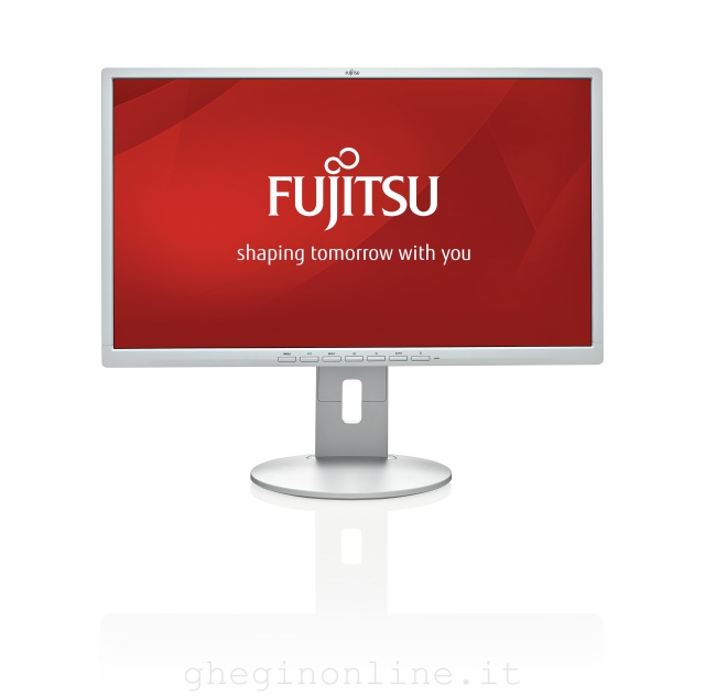 Fujitsu Displays B24-8 TE Pro 60,5 cm (23.8