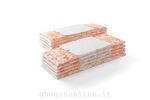 I-ROBOT - Kit Accessori robot pavimenti iRobot 820321 BRAAVA JET Umido