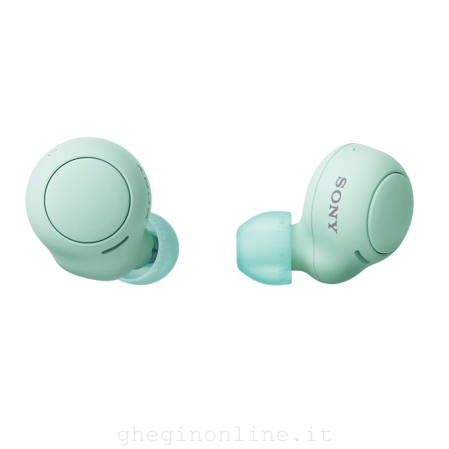 Sony Auricolari WF-C500 True Wireless - Fino a 20 ore di durata della batteria con custodia di ricarica - Compatibile con l'Assistente Vocale - Microfono integrato per le telefonate - Connessione Blue