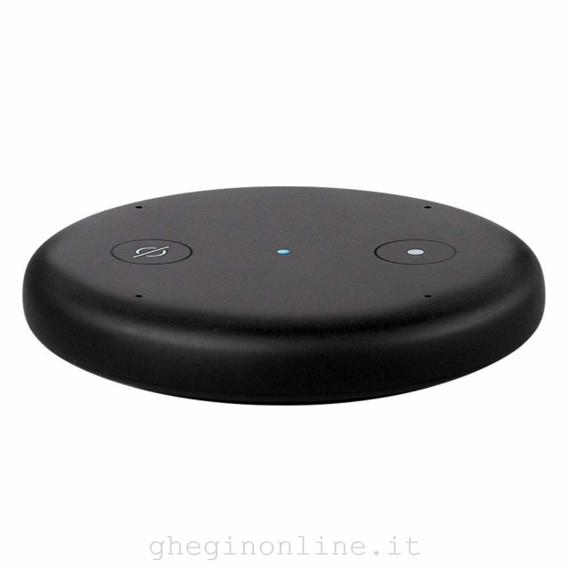 Amazon Echo Input