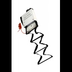 CEREDI GIOVANNI - SCALETTA DI EMERGENZA