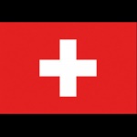 ADRIA BANDIERE - BANDIERA SVIZZERA CM.30X45