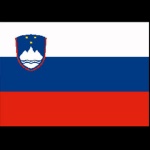 ADRIA BANDIERE - BANDIERA SLOVENIA CM.20X30