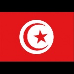 ADRIA BANDIERE - BANDIERA TUNISIA CM.20X30