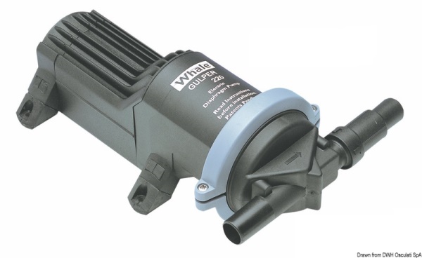 Pompa Whale Gulper 220 12 V - 16.155.20