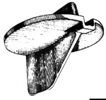 Osculati - Anodo Yamaha pinna 4 tempi