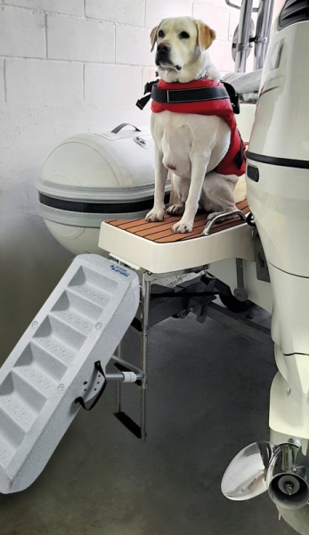 Scaletta per cani  Scaletta per cani - 49.538.20