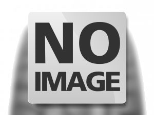 TRELLEBORG TRELLEBO SK900 31X15.50 -15 8PR TL