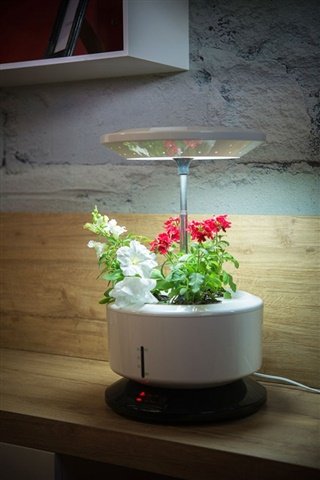 TECNO AIR SYSTEM Garden machine Macchina adatta per la coltivazione indoor di piante medicinali, erbe aromatiche e fiori. Adatta per tutti coloro che non possiedono un giardino o uno spazio coltivabi